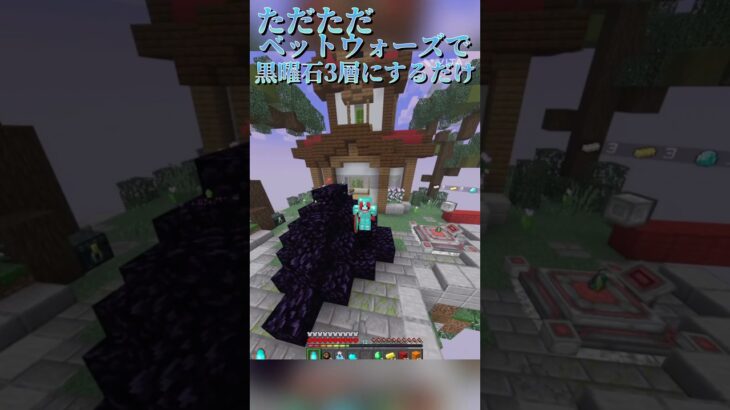 [bedwars] 相手の反応見たかった… #minecraft  #マイクラ  #マインクラフト  #bedwars  #hive  #shorts