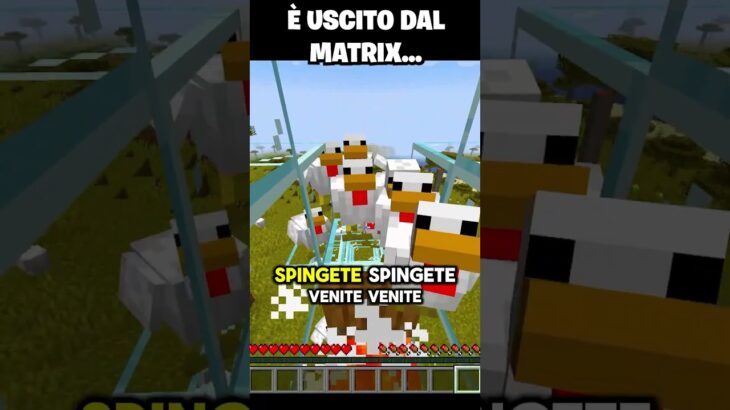 è USCITO dal MATRIX su MINECRAFT…
