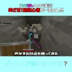 【マイクラ】ゴーレムが湧かないのは？　 fromつづぽんマイクラ雑談2025/05/29　#Minecraft　#Shorts
