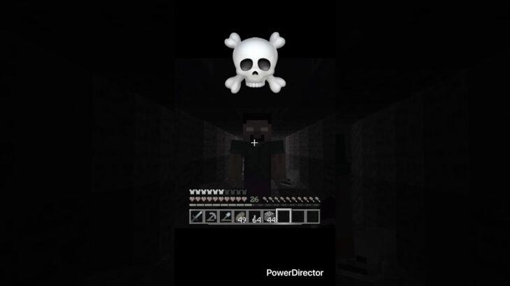 泥棒はヘロブラインが許さない#マイクラ #マインクラフト #ショート #herobrine