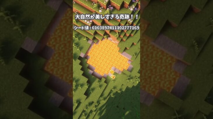【マイクラjava】絶景シード値3選！！#shorts