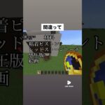 間違って収納を作った人。 #マイクラ #minecraft #マインクラフト