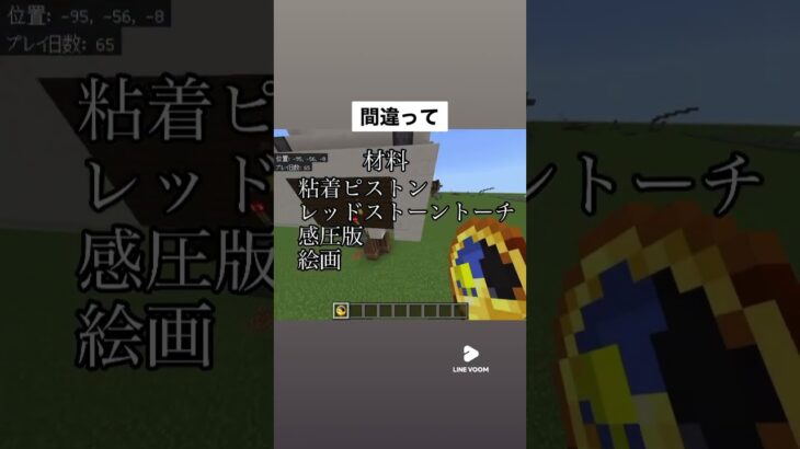 間違って収納を作った人。 #マイクラ #minecraft #マインクラフト