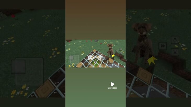 僕の家改善点教えて下さい #minecraft #マイクラ #マインクラフト