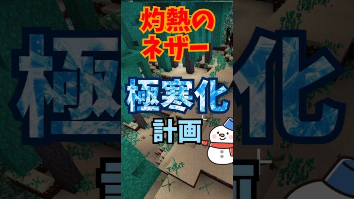 極寒冷凍ネザー#マイクラ #minecraft #マインクラフト