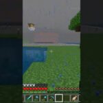 【マインクラフト】 鶏の最後 #minecraft #マイクラ