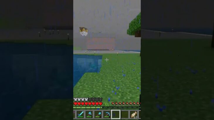 【マインクラフト】 鶏の最後 #minecraft #マイクラ