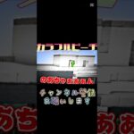 怖いわｗｗｗｗｗｗｗｗｗｗｗｗｗｗｗｗｗｗｗｗｗｗｗｗｗｗ #カラフルピーチ #マイクラ #minecraft #からぴち #ゲーム実況 #えとさん #のあ #じゃぱぱ #なおきり