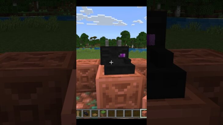 まばたき爆速ドラゴン#minecraft #マインクラフト #マイクラ #マイクラ建築