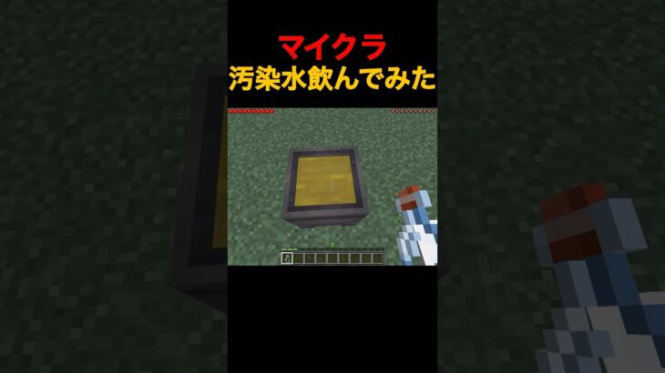【マイクラ】汚染水飲んでみた！ #minecraft #スラランド #スララ #マイクラ #マインクラフト #子供 #こども #汚染水