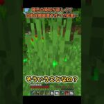 【マイクラ】花生成の仕様？【花生成装置】 #マイクラ #minecraft #ゲーム実況