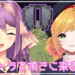 【minecraft】りつぴな エリトラ回収業者始めました【にじさんじ/桜凛月】