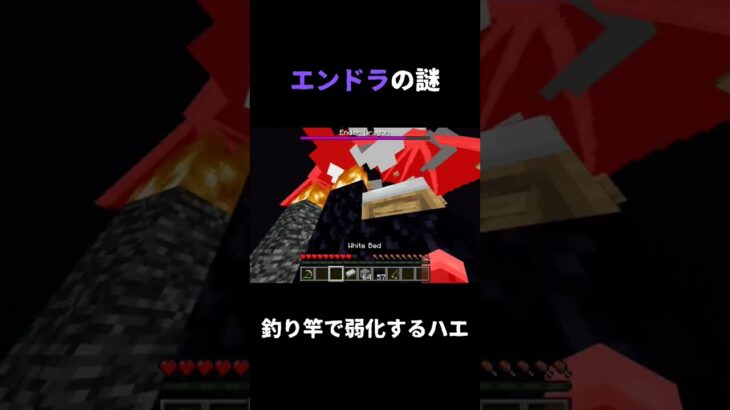 エンダードラゴンの謎 #minecraft #マイクラ #エンドラ討伐