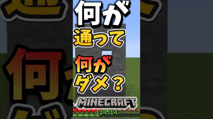 【マインクラフト】マイクラの弓は何かおかしい…?#マイクラ #マインクラフト #minecraft