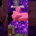 懐いたブタの末路がかわいそう #マイクラ #マインクラフト #マイクラ実況 #minecraft #6歳 #まいくら #ゲーム実況