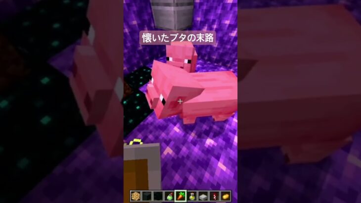 懐いたブタの末路がかわいそう #マイクラ #マインクラフト #マイクラ実況 #minecraft #6歳 #まいくら #ゲーム実況