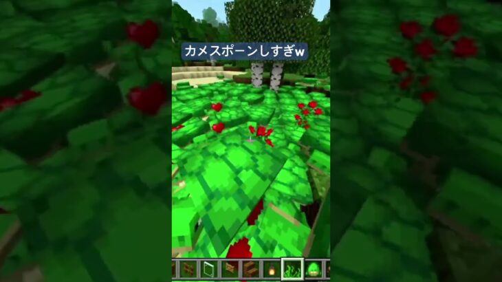 マイクラでカメをスポーンし過ぎて大変なことになった #マイクラ #マインクラフト #minecraft #まいくら #ゲーム実況 #6歳
