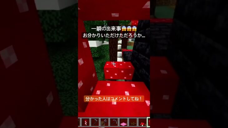 きのこの家を作ってると思ったら…一瞬の出来事… #マイクラ #マインクラフト #minecraft #まいくら #ゲーム実況 #6歳