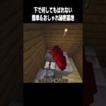 これはおすすめ  #マイクラ #高校生 #minecraft #810 #shorts