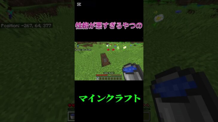 性格が悪すぎるやつのマインクラフト#まいくら #マイクラ #minecraft