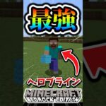 【マインクラフト】ヘロブラインがスティーブを召喚しようとしたらまさかの…?#マイクラ #マインクラフト #minecraft