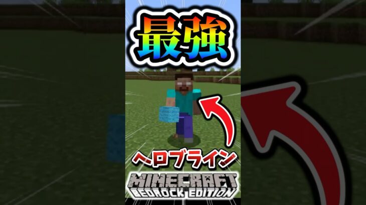 【マインクラフト】ヘロブラインがスティーブを召喚しようとしたらまさかの…?#マイクラ #マインクラフト #minecraft