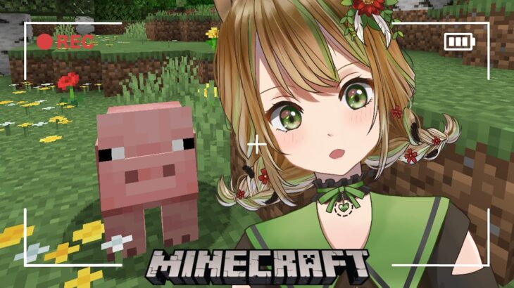 【#minecraft #マイクラ 】稼いだり稼いだり最強の防具作ったり💎✨ English title in the description field【 #vtuber /#ゆるす世界旅 】