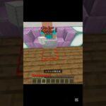 調子に乗ってるチビ #minecraft #マイクラ #andymori #ゲーム #まいんくらふと #チビ #tnt #マイクラ3×3扉 #マインクラフト