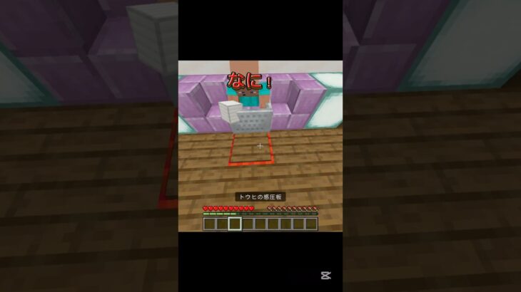 調子に乗ってるチビ #minecraft #マイクラ #andymori #ゲーム #まいんくらふと #チビ #tnt #マイクラ3×3扉 #マインクラフト