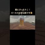 ビールのお家🍺 #マイクラ #マインクラフト #minecraft #マイクラ好きな人と繋がりたい #architecture #マイクラ建築 #game #shorts #ビール #beer #家