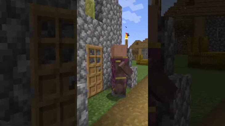 呪われた村#minecraft #cursed #マイクラ #minecraft