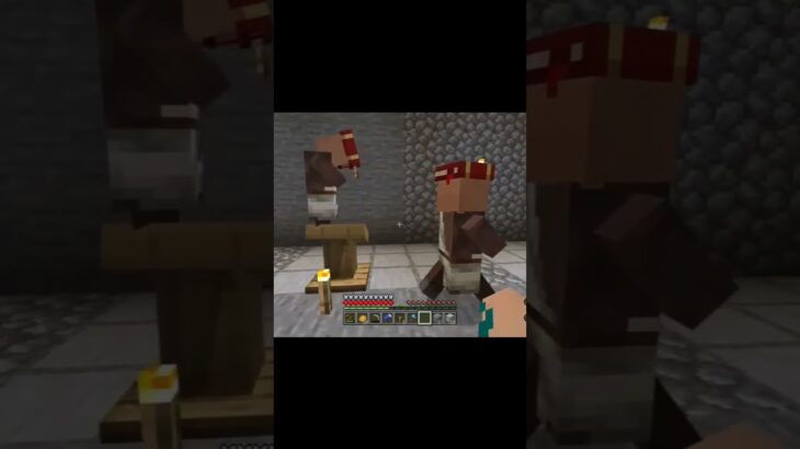 初めての司書⚯ #マイクラ #マインクラフト #minecraft #ゲーム実況 #ゲーム #女性実況 #games
