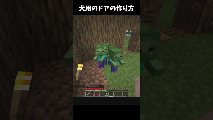 犬用のドアの作り方 #マイクラ #マインクラフト #minecraft #java版
