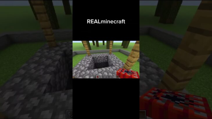 リアルマインクラフト #マイクラ #マインクラフト #minecraft #memes