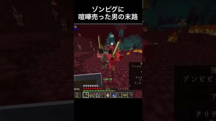 ゾンピグに喧嘩売るなよ…#切り抜き　#マイクラ　#マインクラフト　#minecraft #mod #ハードコア　#参加型　#ゲーム実況　#ヨビ