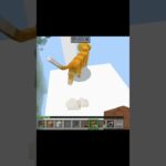 #minecraft #mod #cat