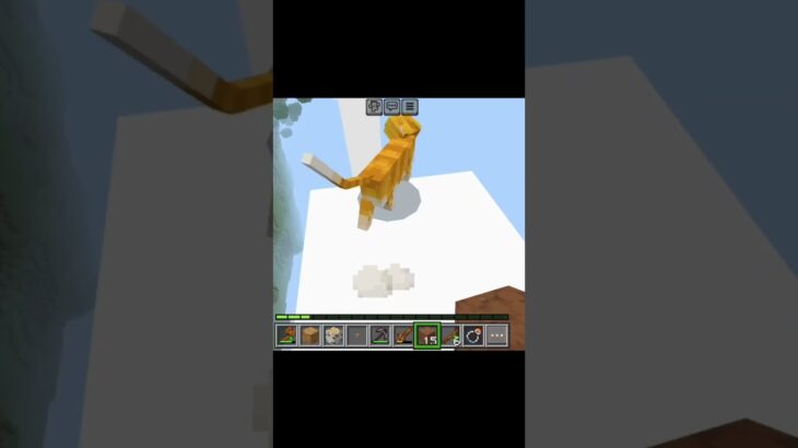 #minecraft #mod #cat