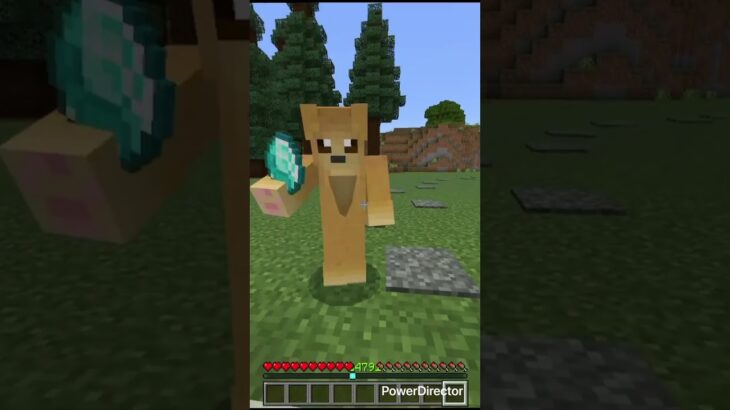 片方は助かる。もう片方は…#マイクラ #マインクラフト #minecraft #shorts #感動する物語