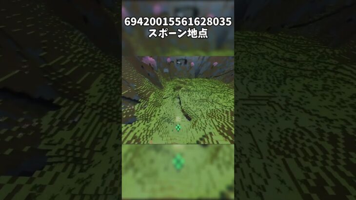 【マイクラ】一度は言ってみたい神シード値#マイクラ #マインクラフト #minecraft #shorts #神シード