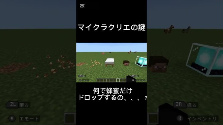 マイクラクリエの謎　#マイクラ #minecraft #shorts #謎 #バズれ