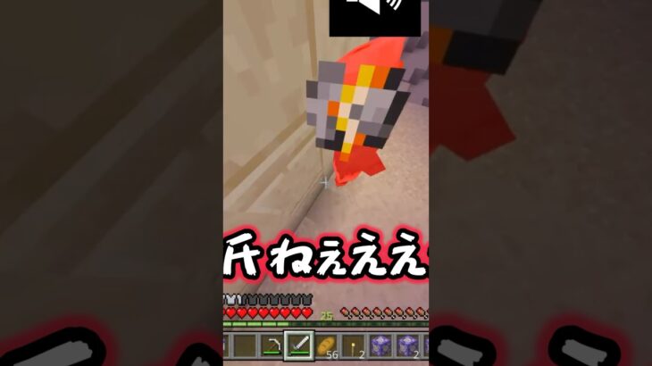 村に来てみた #マイクラ #ゆっくり実況 #minecraft #shorts #おすすめ #マインクラフト
