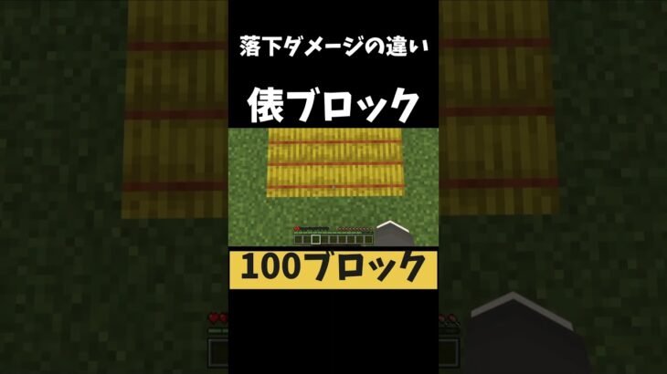 落下ダメージの違い #minecraft #shorts  #マイクラ #マインクラフト