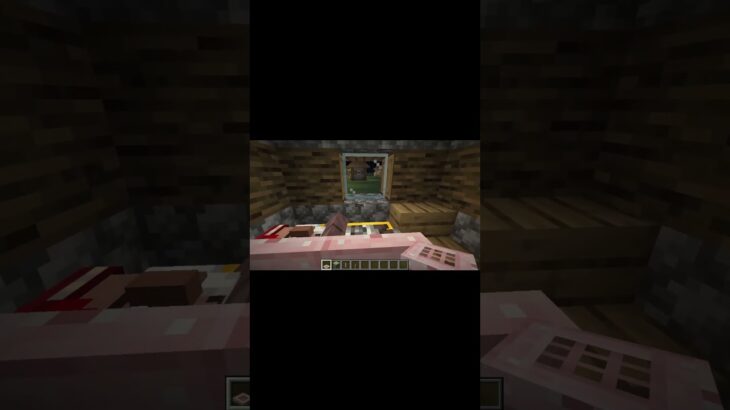【マイクラ】寝ている村人に… #マイクラ #マインクラフト #minecraft #shorts