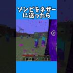 【マインクラフト】ゾンビをネザーに送ったら #マインクラフト #マイクラ #minecraft #まいくら #shorts