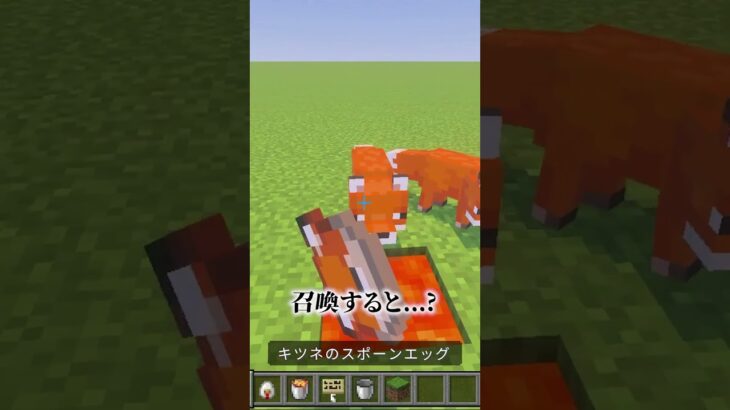 本能には逆らえなかったキツネさん🦊 #マインクラフト #マイクラ #minecraft #shorts
