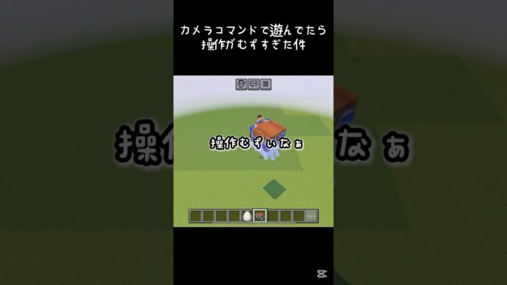 カメラコマンドを使ってあそんでたらハッピーガストの操作が難しすぎた件 #minecraft #マインクラフト #マイクラ #shorts