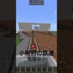 小阪府の鉄道 #マイクラ #小阪府 #マインクラフト #鉄道 #minecraft #まちづくり #マイクラの小屋 #shorts