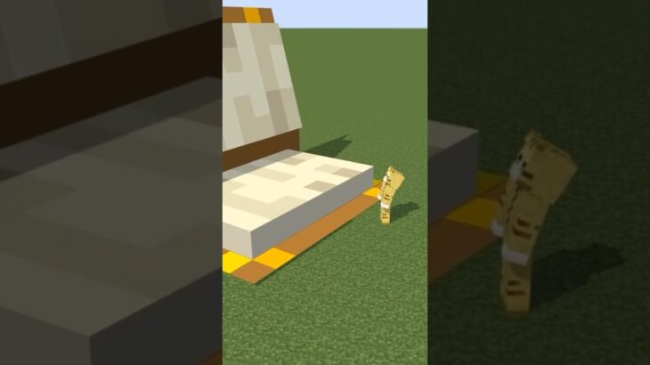 ▶︎魔法が使える世界 #minecraft #マイクラ #マインクラフト #アニメーション #shorts