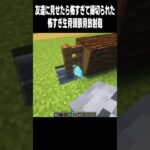 流石にびびる #高校生 #マイクラ#minecraft #shorts