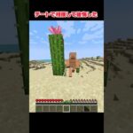 チートで相撲したら後悔した#マイクラ #minecraft #shorts